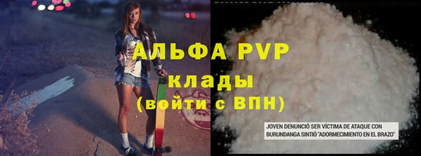 винт Алзамай