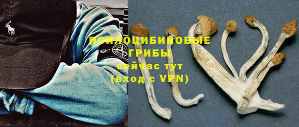 винт Алзамай