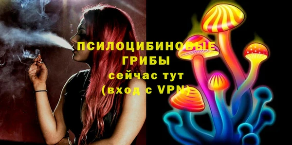 PSILOCYBIN Алексин